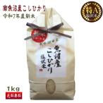 送料無料（令和7年産�