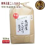 送料無料 （令和7年産�