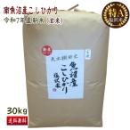 予約割引価格! 送料無料 令和7年産 新米 徳用 南魚沼産 コシヒカリ 塩沢米 玄米 30kg 産地直送