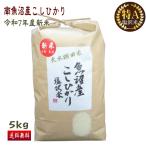 ショッピング米 5kg 送料無料 予約割引価格！ 送料無料 令和7年産 新米 南魚沼産 コシヒカリ 塩沢米 5kg 白米 産地直送