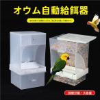  bird механизм подачи птица автокормушка маленькая птица столик для птиц вода inserting длиннохвостый попугай попугай посуда .. inserting .... птица. столик для птиц .... трудно проект 