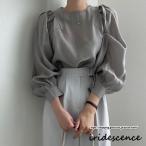 パフスリーブブラウス レディーストップスシャツ 長袖 春夏服 透け感 丸首 フリル プルオーバー 長袖ブラウス シャツブラウス オフィス 大人 卒業式 入学式 20代