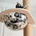  башня для кошки космический корабль прозрачный Capsule type кошка подножка кошка walk . движение нехватка аннулирование стена поверхность установка. высота . безопасность фиксация кошка .... нет взлом person гид 