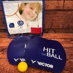 HIT-THE-BALL（ヒット　ザ　ボール）ハンドボール　ゴールキーパー　トレーニング　グッズ