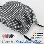 マスク 銀 日本製 洗える 抗ウイルス ウェルネスマスク スポーツマスク 息がらく 軽量 速乾 UVカット 防臭 耳ヒモ調整 ずれない 立体 JIS規格 花粉 ギフト