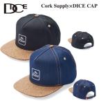 20-21 DICE ダイス CORKSUPPLY コルクサプライ コラボレートモデル SNAPBACK コルクキャップ スノーボード ゴーグル 正規品