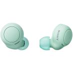 ソニーSONY 完全ワイヤレスイヤホン WF-C500 _ /軽量小型5.4g/高精度通話品質/簡単ペアリング/IPX4防滴性能/アイスグリーン WF-C500 GZ