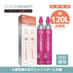 ショッピング炭酸水 【代引限定】ソーダストリーム クイックコネクト ガスシリンダー 60L (交換用)2本セット