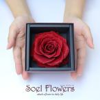 ショッピングバラ プロポーズ バラ 花 プレゼント ギフト サプライズ プリザーブドフラワー 誕生日 結婚記念日 記念品 プロポーズの花 おしゃれ ダイヤモンドローズ L