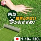 人工芝 ロール 幅1ｍ×10 防草 芝生 国産 リアル人工芝 防草人工芝 芝丈30mm 庭 DIY ふかふか 人工芝生 RP-30110 一人暮らし