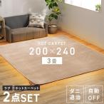 ショッピング節電 ホットカーペット 3畳 ラグ セット TEKNOS  200×240cm おしゃれ 節電 折り畳み 温度調節 電気カーペット 電気マット テクノス HCMF-IR300