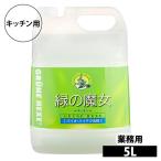 緑の魔女 食器洗剤 キッチン 洗剤 業務用 パイプクリーナー 調理器具 野菜 果物 弱アルカリ性 5L ミマスクリ−ン ドイツ 弱アルカリ まとめ買い 日用品