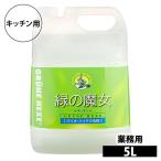 ショッピング緑の魔女 緑の魔女 食器洗剤 キッチン 洗剤 業務用 パイプクリーナー 調理器具 野菜 果物 弱アルカリ性 5L ミマスクリ−ン ドイツ 弱アルカリ まとめ買い 日用品