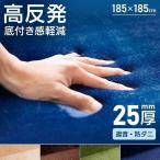 ラグ カーペット ラグマット 2畳 ホットカーペット対応 おしゃれ 北欧 高反発 遮音 高反発ラグ 185×185cm (D) 冬用