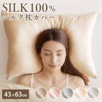 枕カバー シルク 両面 髪 16匁 ファスナー シルク100% 洗える カバー 枕 絹 ピローケース ヘア ケア 乾燥対策 保湿 SKP100-6343 (D) メール便