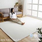 ラグ カーペット 夏用 夏 接触冷感 ひんやり 冷感 ラグマット 3畳 北欧 厚手 おしゃれ 200×250 涼感 抗菌防臭 200×250cm (D)