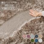 [15%OFFクーポン!] ラグ カーペット ラグマット 洗える 3.5畳 200×300 シャギーラグ ふんわり 北欧 オールシーズン 冬用 夏用 SGY-2030