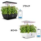 iDOO Smart Bloom12 Appli синхронизированный гидропонная культура комплект - салон садоводство 