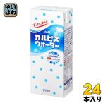 エルビー カルピスウォーター 250ml 紙パック 24本入