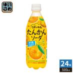 サンガリア うましゅわ たんかんソ�