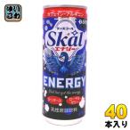 南日本酪農 スコール エナジー 250ml 