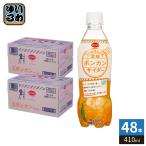 えひめ飲料 POM 愛媛ポンカンサイダ�