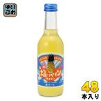 ショッピングぬちまーす 友桝飲料 塩&パインサイダー 245ml 瓶 48本 (24本入×2 まとめ買い) 地サイダー 炭酸ジュース タンサン