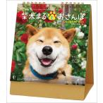 卓上 柴犬まるとおさんぽ 2026年 カレンダー CL-394 CL26-394