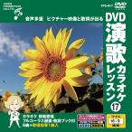  новый товар DVD энка караоке урок 17 / (DVD) VTG-017