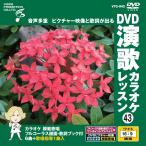  новый товар DVD энка караоке урок 43 / (DVD) VTG-043