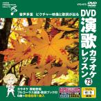  новый товар DVD энка караоке урок 73 / (DVD) VTG-073