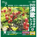 DVD энка караоке урок 131 / ( караоке DVD) VTG-131