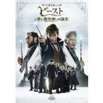  новый товар вентилятор ta палочка * Be -тактный . чёрный . Mahou Tsukai. рождение (DVD) 1000748428-HPM