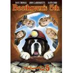  новый товар беж to- Ben 5 [DVD] / (DVD) GNBF3694-HPM
