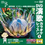  новый товар DVD энка караоке урок 1 / (DVD) VTG-001