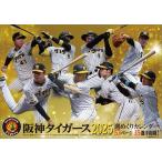 【残りわずか!!】卓上 阪神タイガース週めくり 2025年カレンダー 25CL-0589