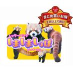 resa- Panda. ....... календарь 2027 год настенный календарь . мир 9 год 27CL-386