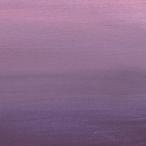 【おまけCL付】新品 離婚伝説 / 離婚伝説(CD) BVCL1495