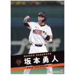 坂本勇人（読売ジャイアンツ） 2026