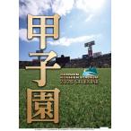  Koshien лампочка место 2026 год настенный календарь CL-587 CL26-587