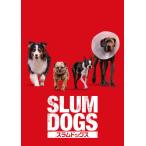 [ дополнение CL есть ] новый товар s Ram собака s/ (DVD) GNBF5897