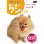 [ дополнение CL есть ] новый товар ..... стул ..... one Chan / (DVD) KID-1301-KEEP