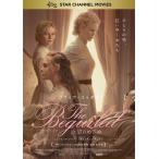 [ дополнение CL есть ] новый товар The Beguiledbiga il do... .../ Colin *fareru,ni call * Kid man (DVD) TCED4197-TC