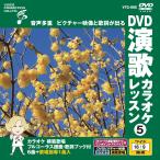 [ дополнение CL есть ] новый товар DVD энка караоке урок 5 / (DVD) VTG-005