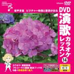 [ дополнение CL есть ] новый товар DVD энка караоке урок 14 / (DVD) VTG-014