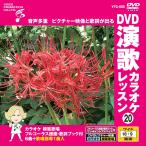 [ дополнение CL есть ] новый товар DVD энка караоке урок 20 / (DVD) VTG-020