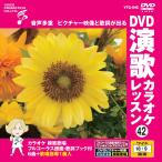[ дополнение CL есть ] новый товар DVD энка караоке урок 42 / (DVD) VTG-042