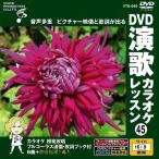 [ дополнение CL есть ] новый товар DVD энка караоке урок 45 / (DVD) VTG-045