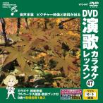 [ дополнение CL есть ] новый товар DVD энка караоке урок 47 / (DVD) VTG-047