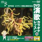 [ дополнение CL есть ] новый товар DVD энка караоке урок 55 / (DVD) VTG-055